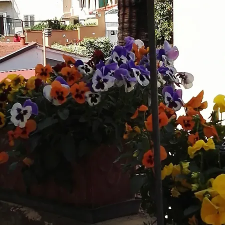 A Casa Di Lilli 4* Florenz